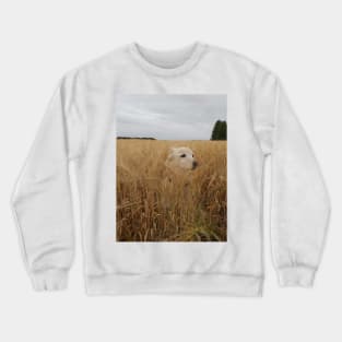 Field of Dreams Crewneck Sweatshirt